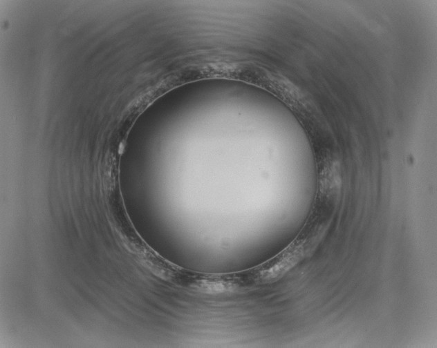 X0000083620464200702260958