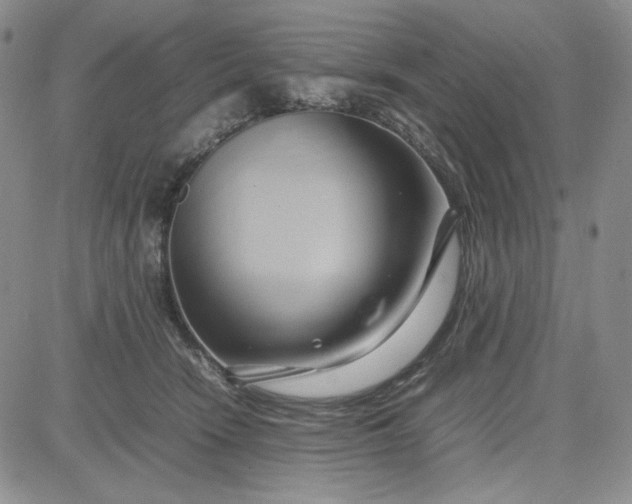 X0000083620466200702260958