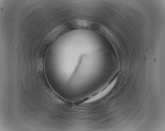 X0000083620467200702260958