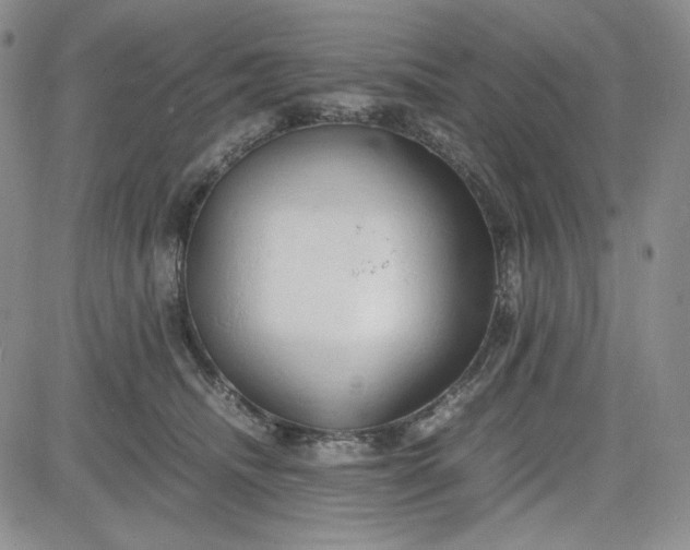 X0000083620468200702260958