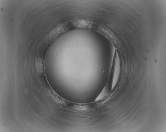 X0000083620469200702260958