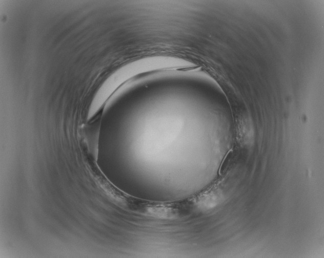 X0000083620470200702260958