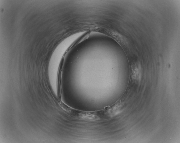 X0000083620471200702260958