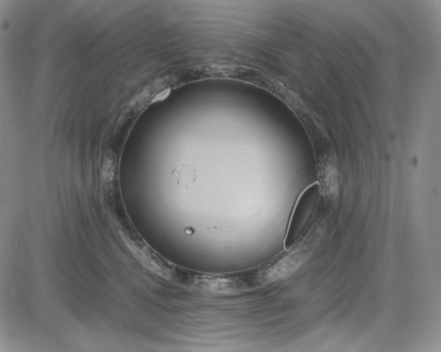 X0000083620472200702260958