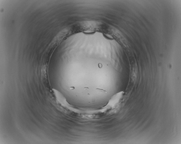 X0000083620473200702260958