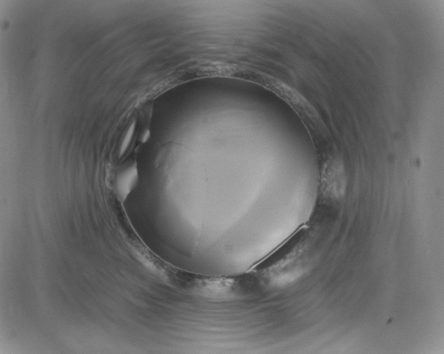 X0000083620474200702260958