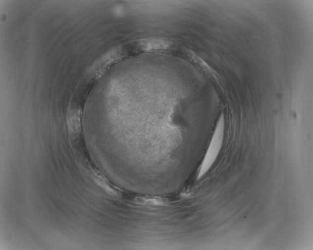 X0000083620475200702260958