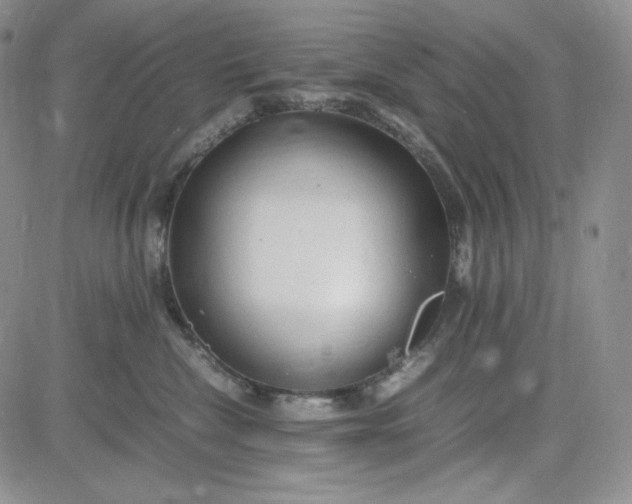 X0000083620476200702260958