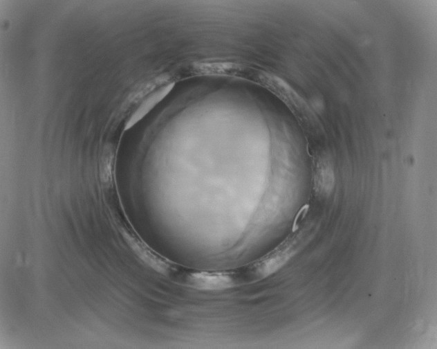 X0000083620477200702260958