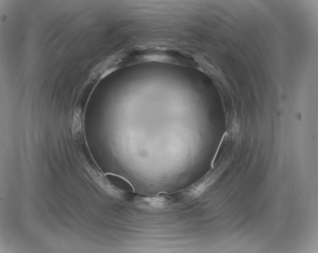 X0000083620478200702260958