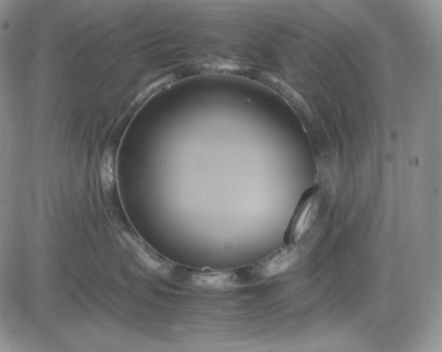 X0000083620479200702260958