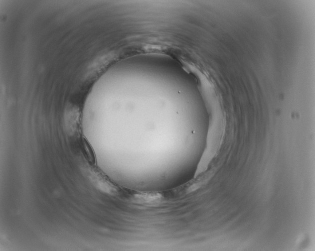 X0000083620480200702260958