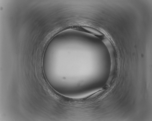 X0000083620481200702260957