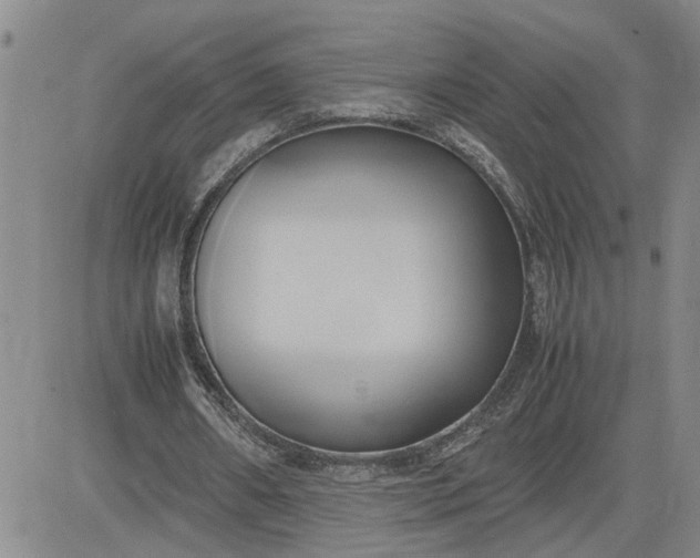 X0000083620482200702260957