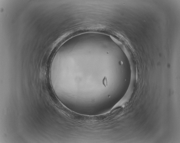 X0000083620483200702260957