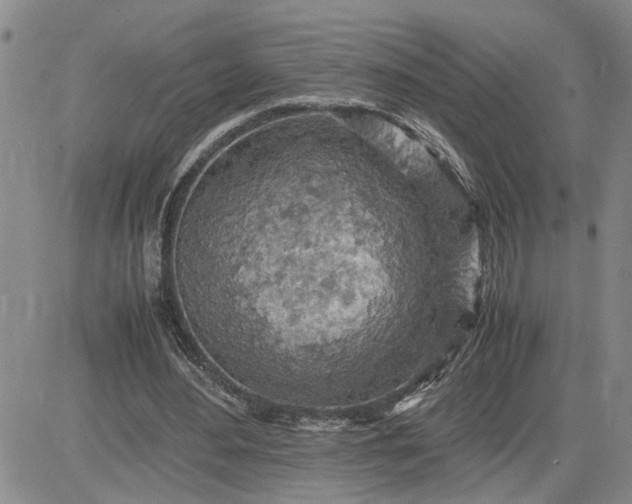 X0000083620484200702260957