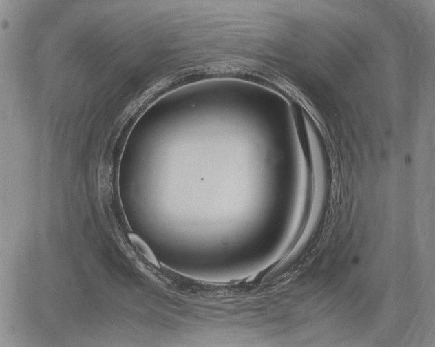 X0000083620485200702260957