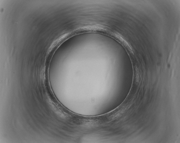 X0000083620486200702260957