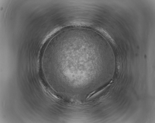 X0000083620488200702260957