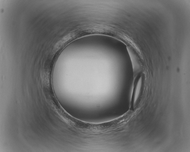 X0000083620489200702260957