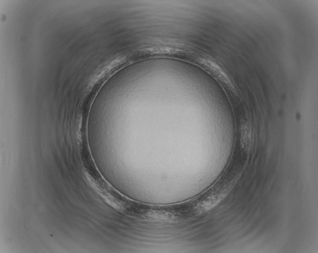 X0000083620490200702260957