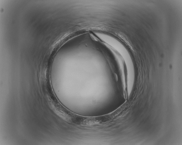 X0000083620491200702260957