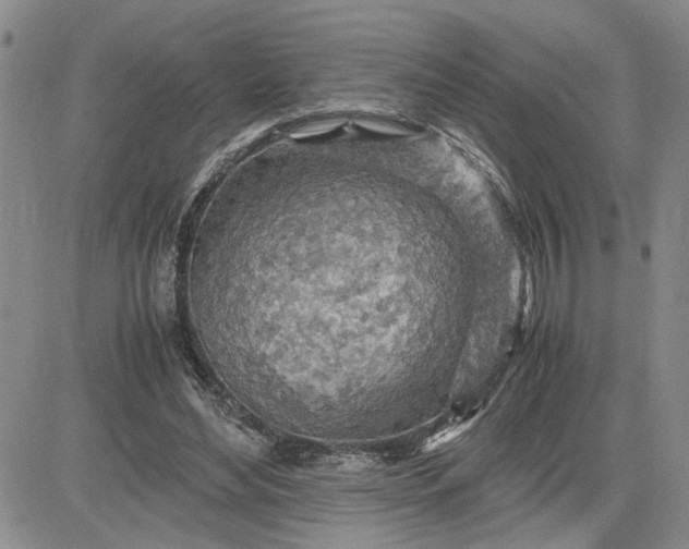 X0000083620492200702260957