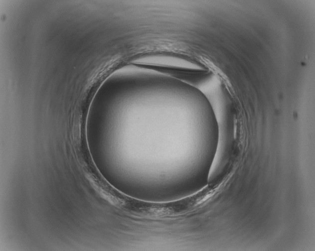 X0000083620493200702260957