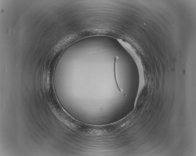 X0000083620494200702260957