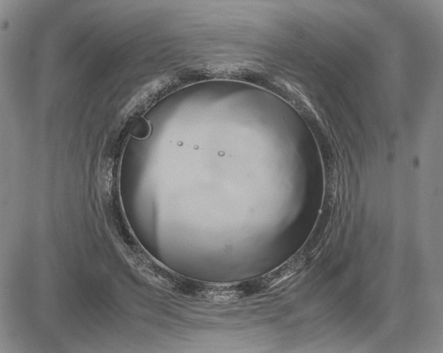 X0000083620495200702260957