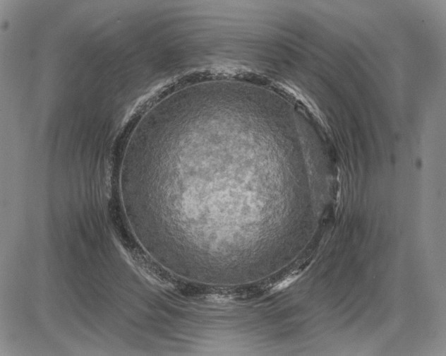 X0000083620496200702260957