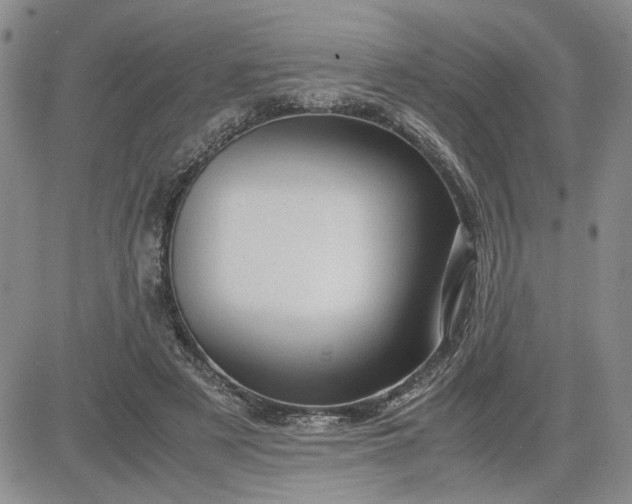 X0000083620497200702260957