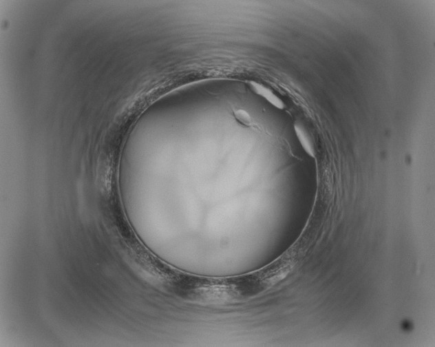 X0000083620499200702260957