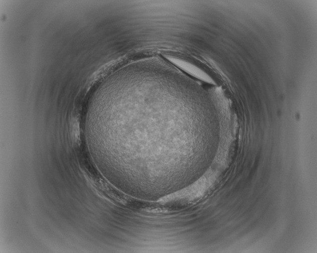 X0000083620500200702260957