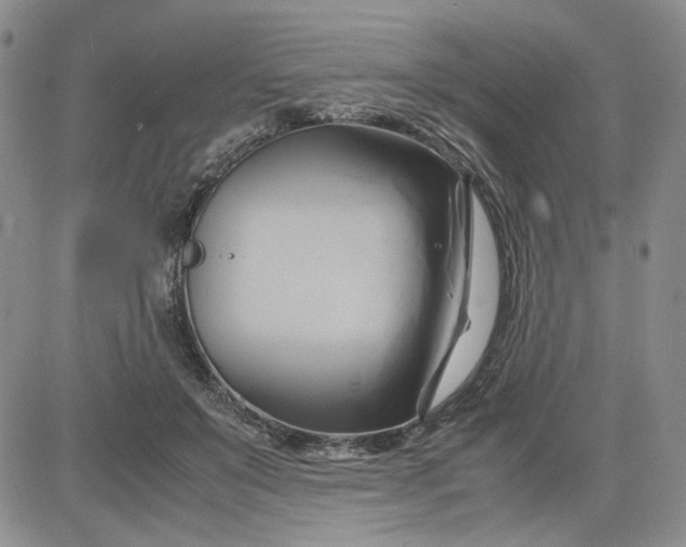 X0000083620503200702260957