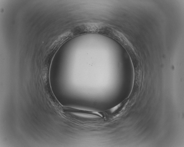 X0000083620505200702260957