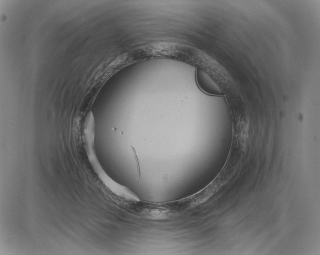 X0000083620506200702260957