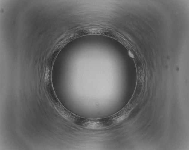 X0000083620507200702260957