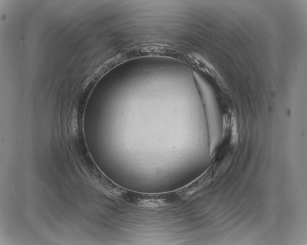 X0000083620508200702260957