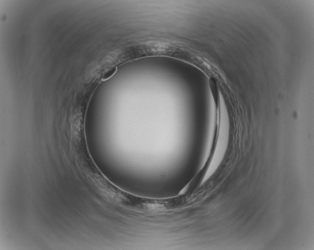 X0000083620509200702260957