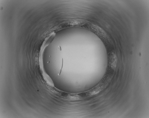 X0000083620510200702260957