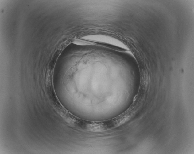 X0000083620511200702260957