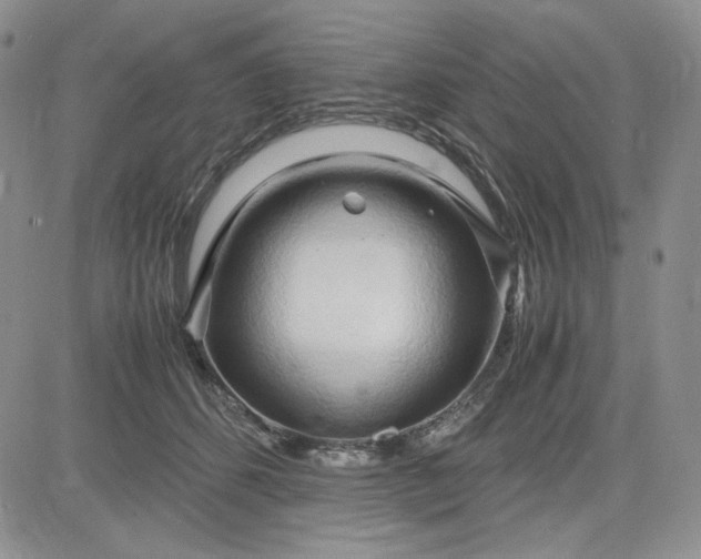 X0000083620512200702260957