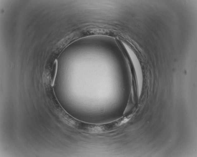 X0000083620513200702260957