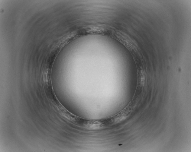 X0000083620514200702260957