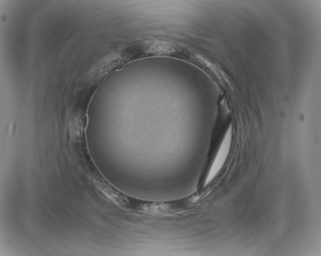 X0000083620517200702260957