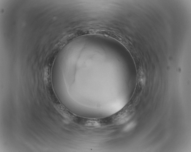 X0000083620519200702260957