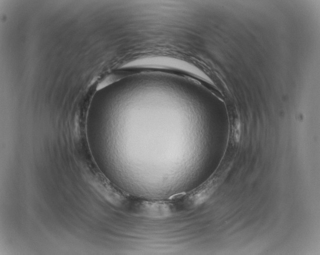 X0000083620520200702260957