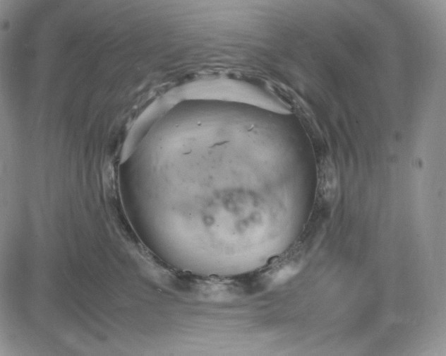 X0000083620523200702260956