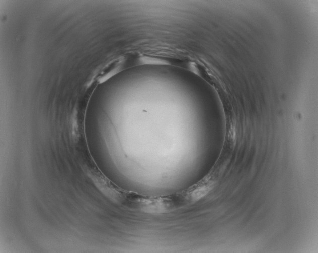 X0000083620524200702260956